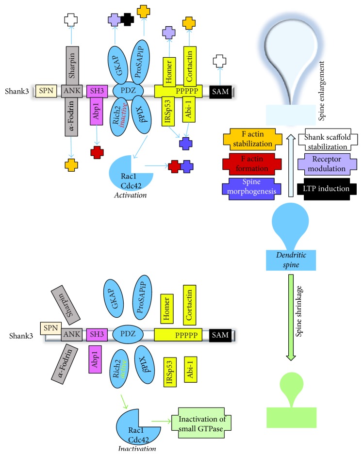 Figure 7