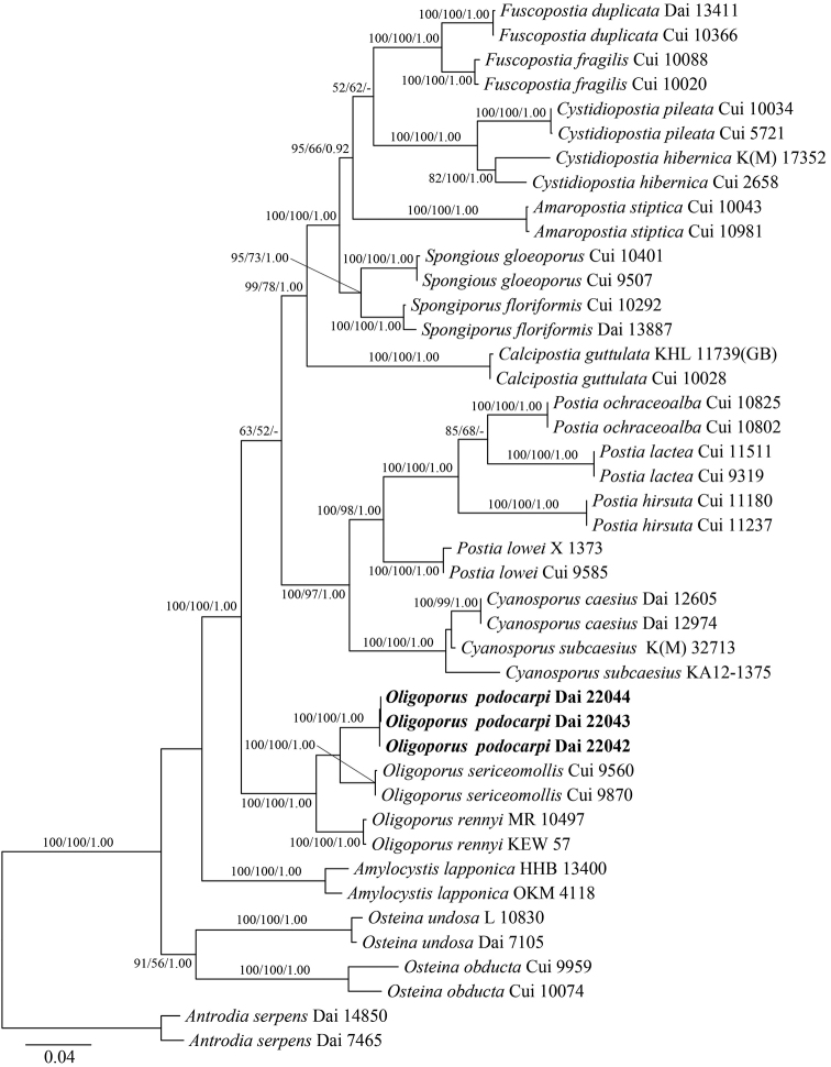 Figure 2.