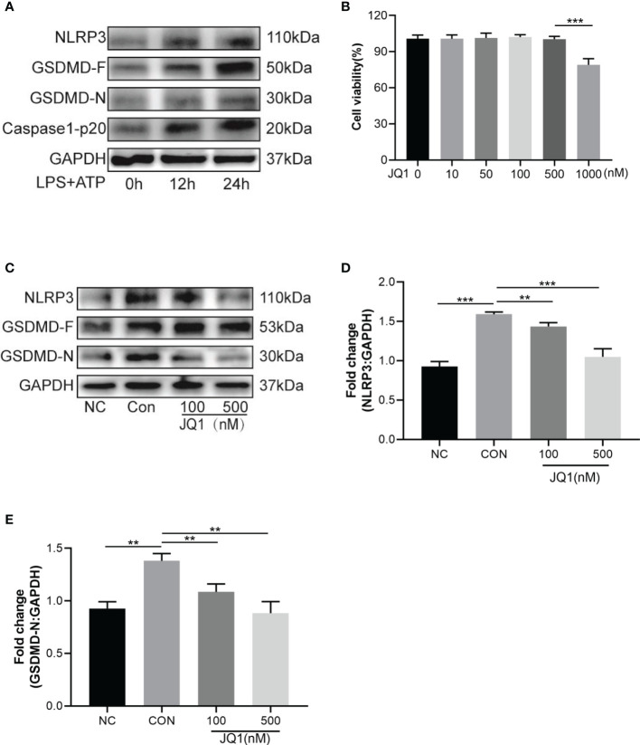 Figure 5