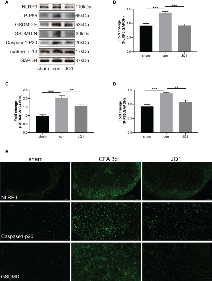 Figure 4