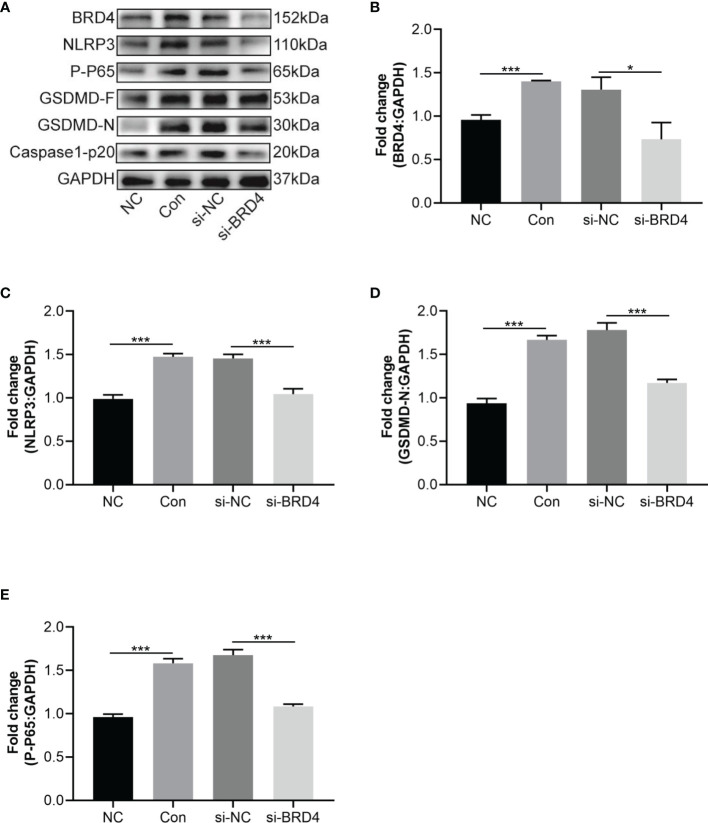 Figure 6