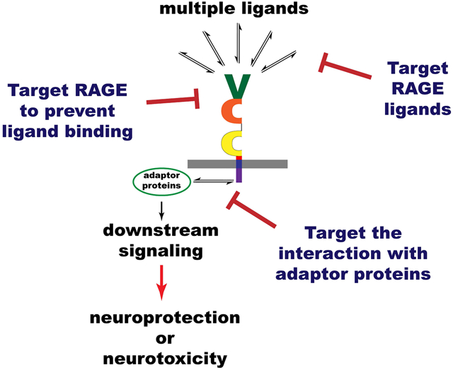 graphic file with name nihms-1841674-f0001.jpg