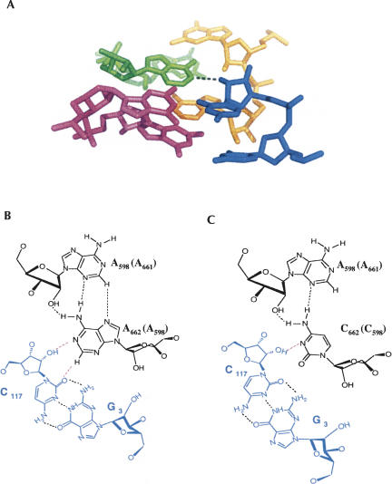 FIGURE 6.