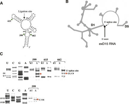 FIGURE 4.