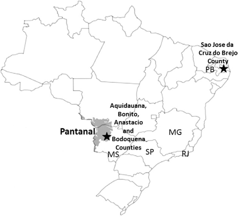 Map of Brazil showing the locations where horses were sampled, including Pantanal region and cities, and the state of Paraíba (PB) where seropositive horses to West Nile virus were found. MG: state of Minas Gerais; MS: state of Mato Grosso; RJ: state of Rio de Janeiro; SP: state of São Paulo.