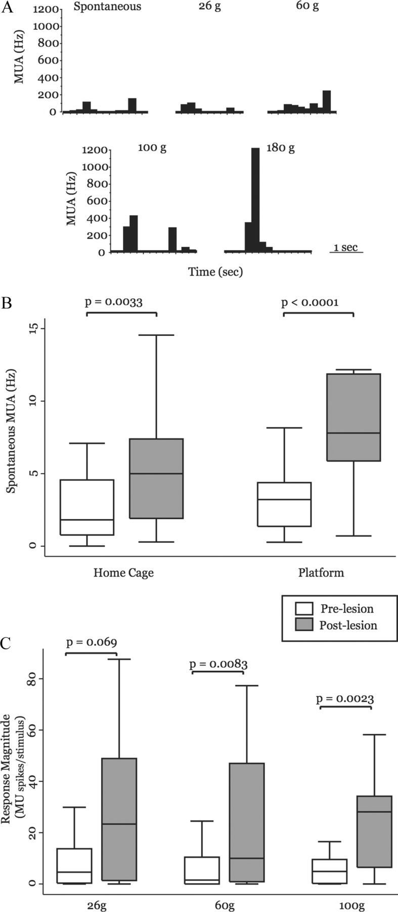 Figure 6.