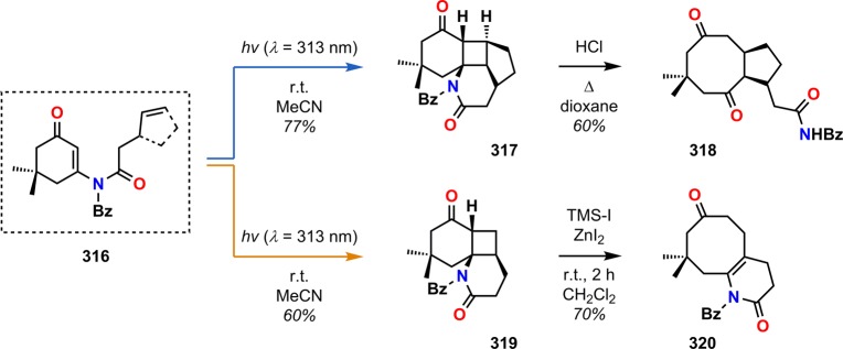 Scheme 55