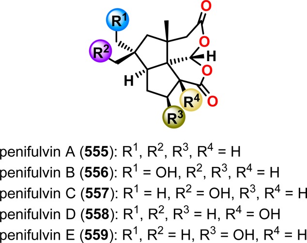 Figure 29