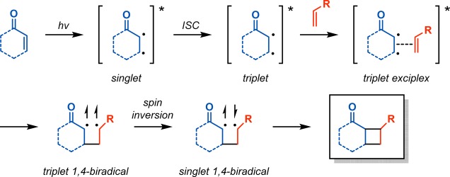 Scheme 2