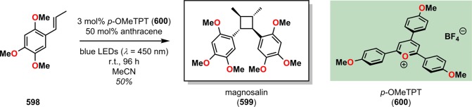 Scheme 104