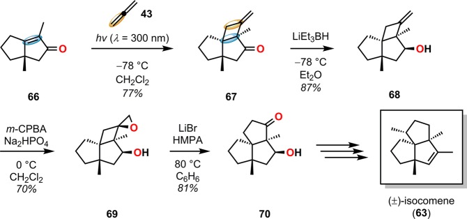 Scheme 18