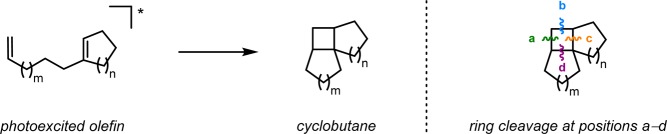 Scheme 13