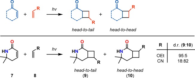 Scheme 3