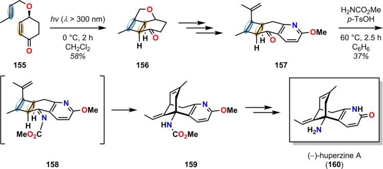 Scheme 31