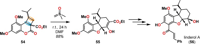 Scheme 16