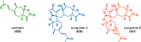 Figure 23