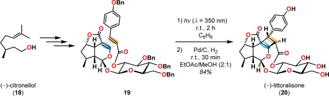 Scheme 5