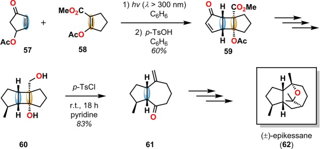 Scheme 17