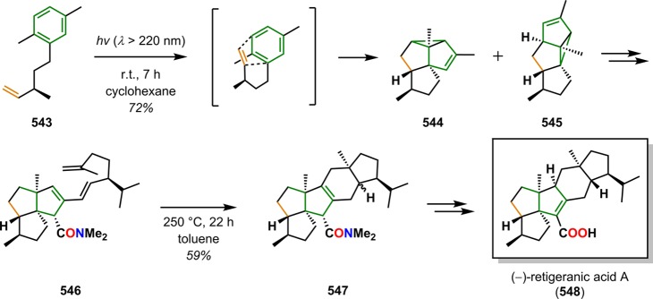 Scheme 99