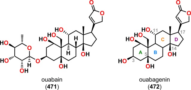 Figure 24