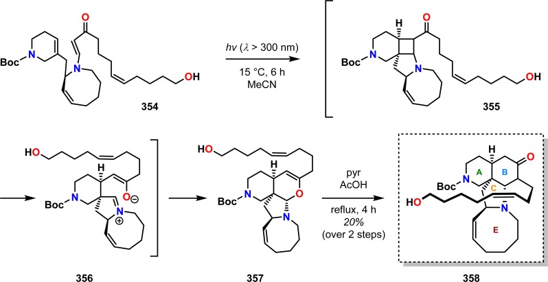 Scheme 60