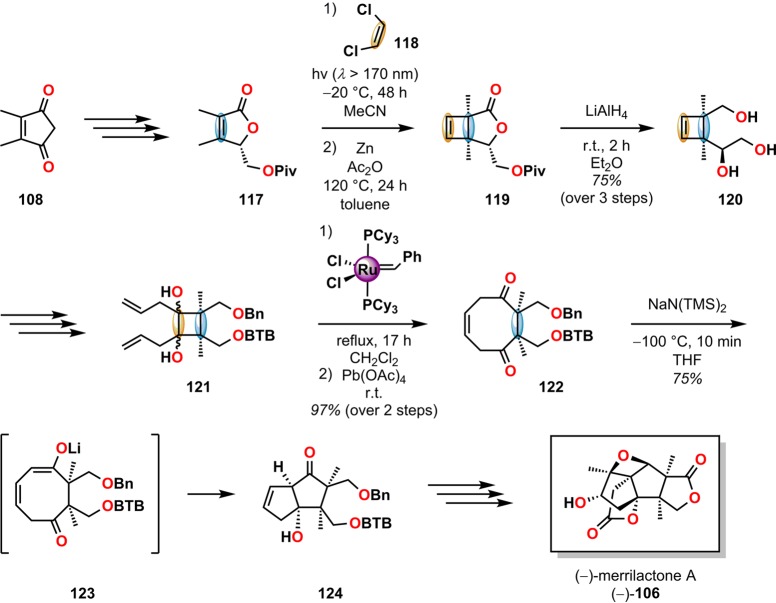 Scheme 25