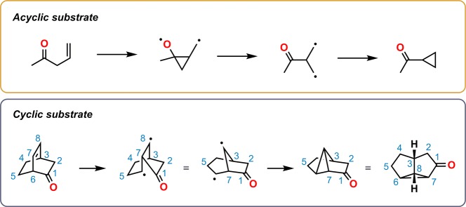 Scheme 89