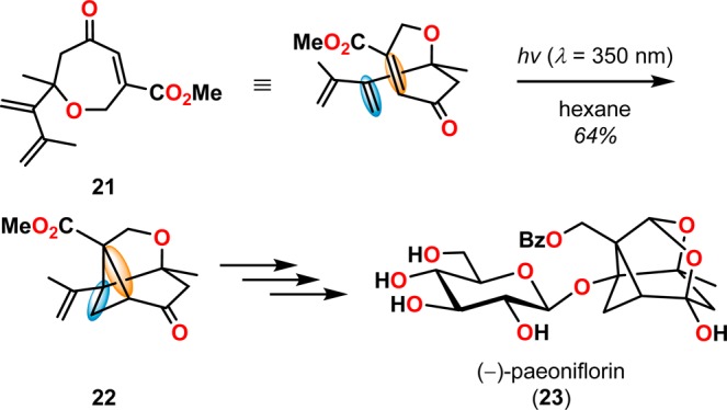 Scheme 6