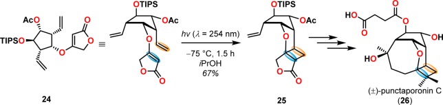 Scheme 7