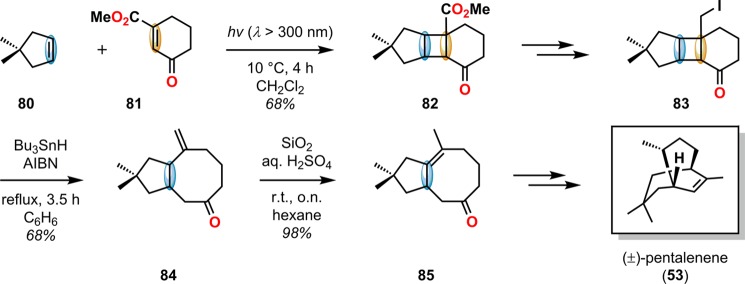 Scheme 20