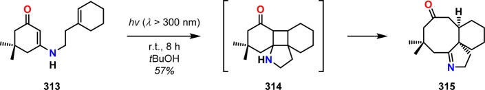 Scheme 54