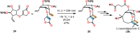 Scheme 7