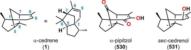 Figure 28