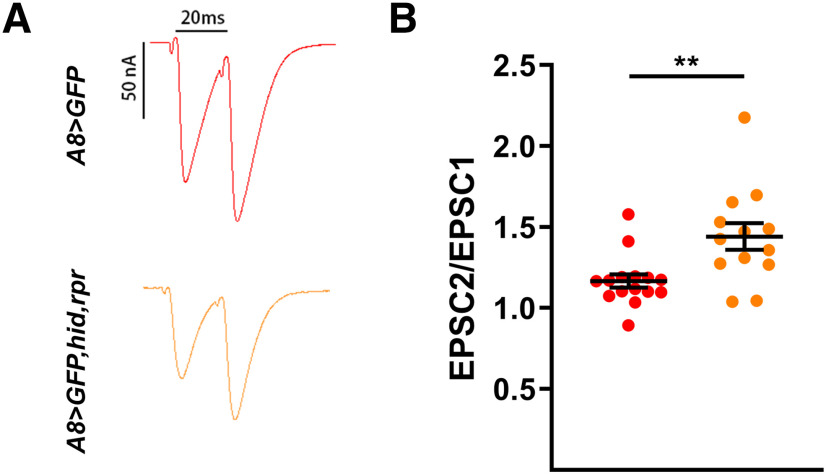 Figure 7.