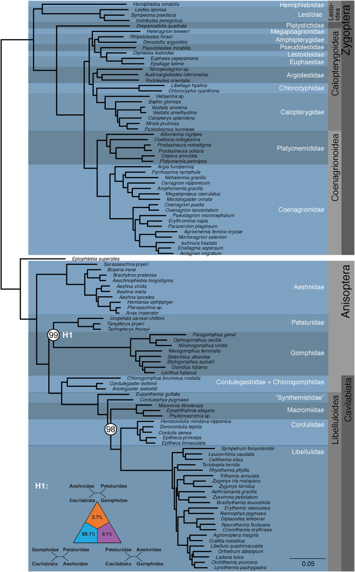 Figure 1