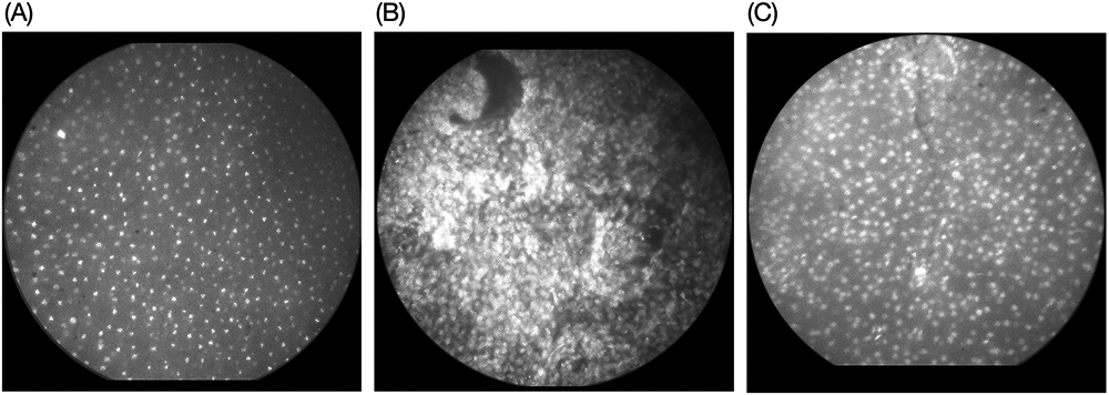 Figure 6: