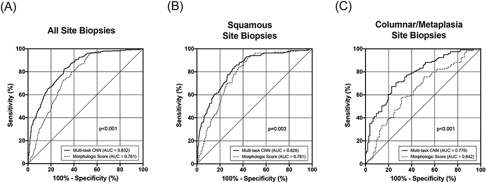 Figure 5: