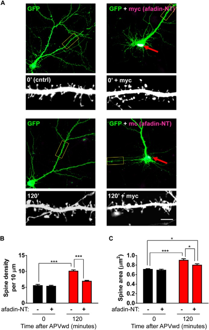 FIGURE 6.