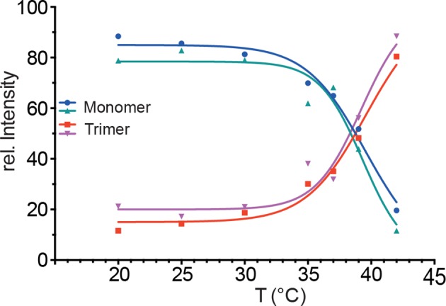 Figure 2—figure supplement 1.