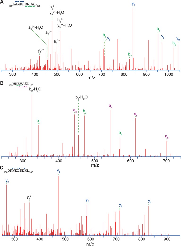 Figure 2—figure supplement 4.