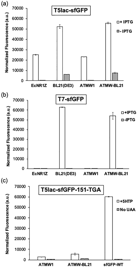 Figure 2.