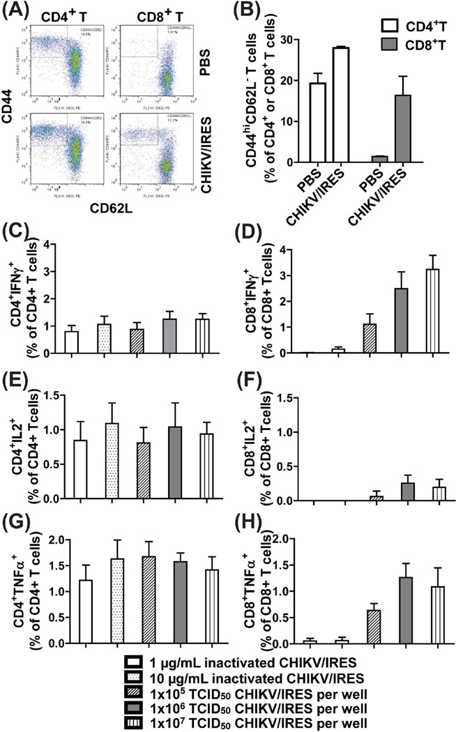 Fig.2