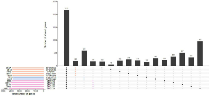 FIGURE 3