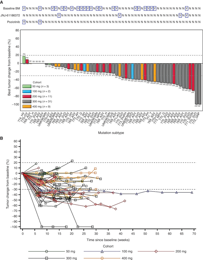 Figure 4. Clinical activity of sunvozertinib in EGFR exon20ins NSCLC patients with postbaseline target lesion assessments. A, Best percentage change from baseline in target lesions by dose level, molecular subtype, prior amivantamab or poziotinib treatment status, and baseline brain metastasis. B, Plot showing percentage change from baseline in target lesion by time on treatment and dose level. Pooled analysis of WU-KONG1 and WU-KONG2 studies was performed. Data cutoff date: April 3, 2021. Tumor response was assessed by investigators according to RECIST1.1. BM: brain metastasis; PR: partial response; SD: stable disease; PD: progressive disease. *, confirmed response. EGFR exon20ins subtypes were confirmed by next-generation sequencing using tumor tissue or/and plasma ctDNA. DZD9008 = sunvozertinib. JNJ-61186372 = amivantamab. Note: Among the 56 patients, a total of 45 subjects had tumor tissue and/or plasma samples tested by a central laboratory using next generation of sequencing (NGS), 41 of 45 were confirmed as EGFR Exon 20 insertion positive, the overall concordance rate was 91%. However, 31 subjects had only tumor tissue tested by the central laboratory, and the concordance rate between local and central laboratory testing was 97% (30/31).