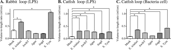 FIG 3