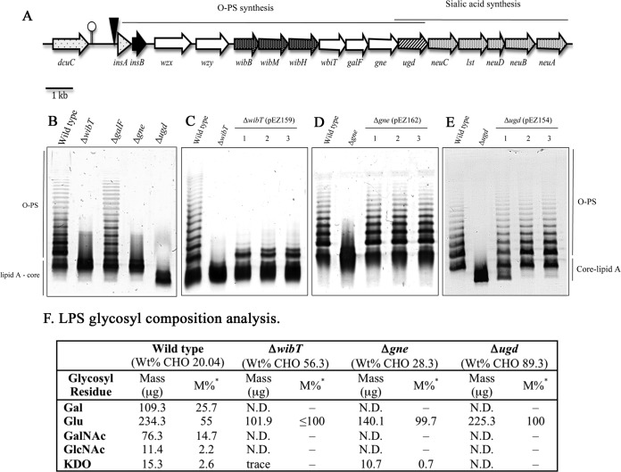 FIG 2