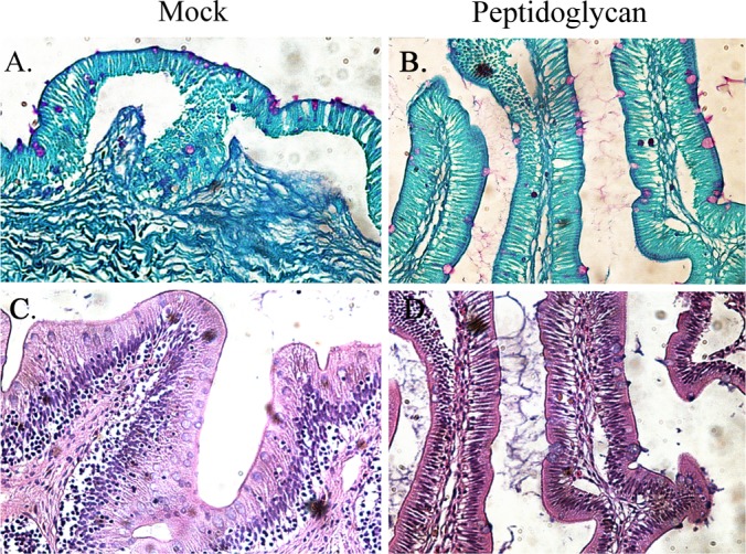 FIG 6