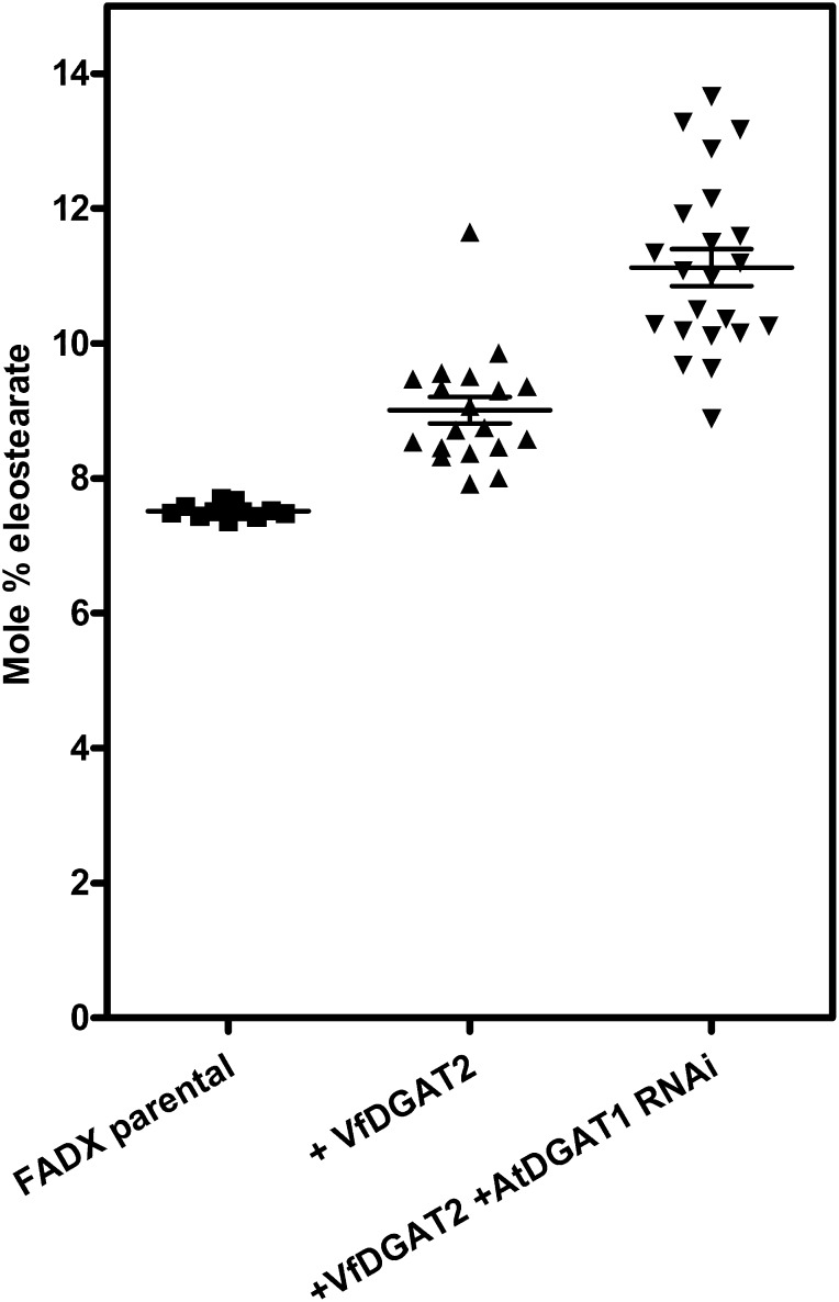 Figure 7.