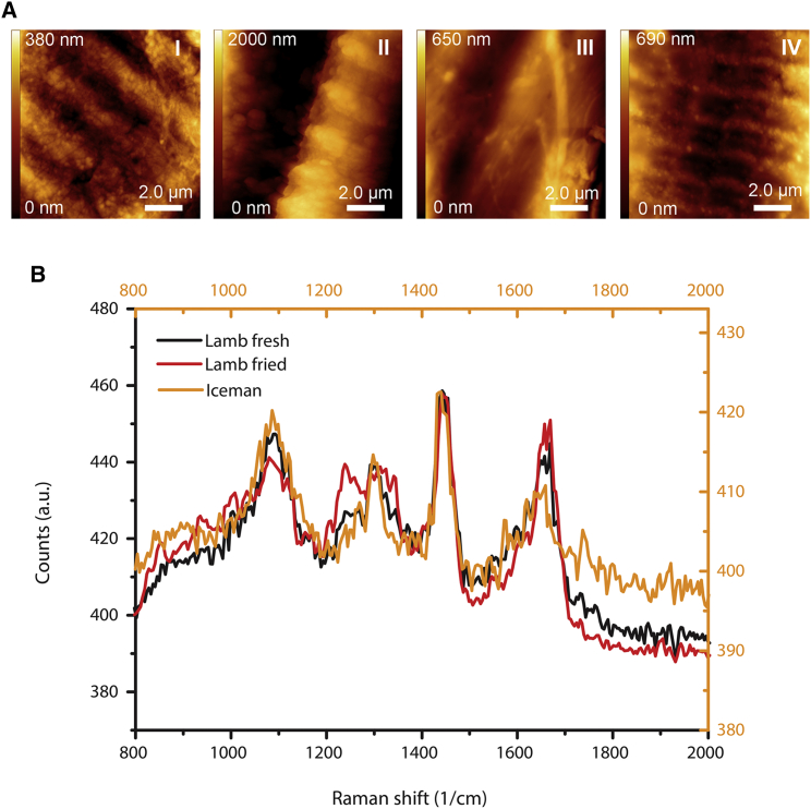 Figure 4