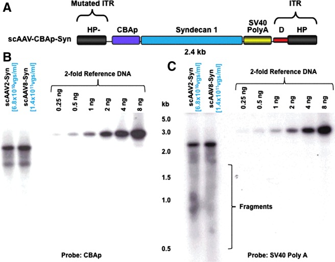 FIG. 4.